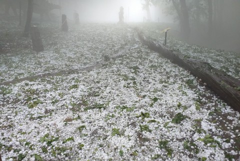 Ľadové krúpy v košickej Zoo