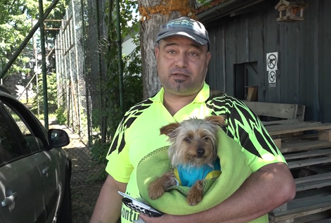 Túlavá svorka napadla psa