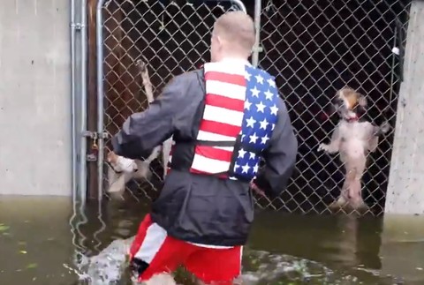 VIDEO: Majiteľ nechal psov napospas hurikánu. Záchrana prišla v poslednej chvíli