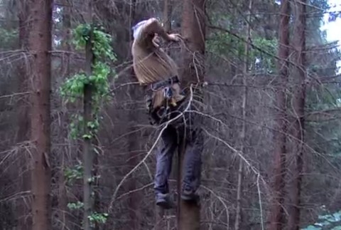 Video z unikátnej záchrany: Volá sa Mišo, má tri týždne a vypadol z hniezda, ktoré je 14 metrov nad zemou