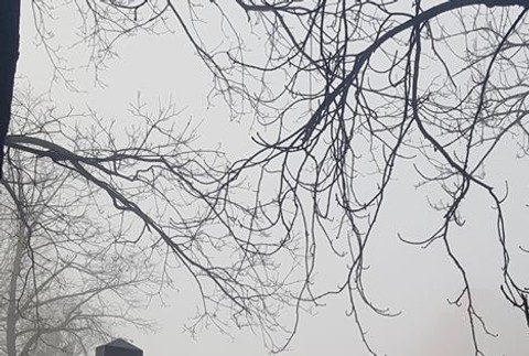 Z hrobov kradol medené vázy