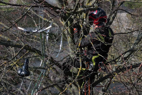 Vandali pripevnili bicykel na strome 
