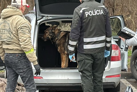 WhatsApp Image 2024-02-19 at 16.05.28