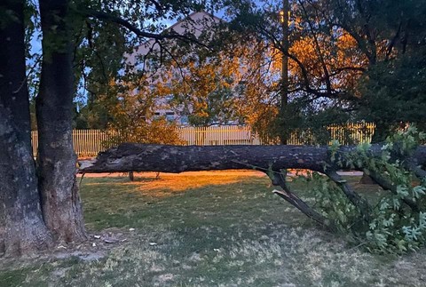 v noci vietor lámal stromy