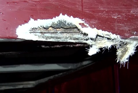 Po šmyku skončilo auto v strome. Prudký náraz bol počuť aj v okolitých domoch