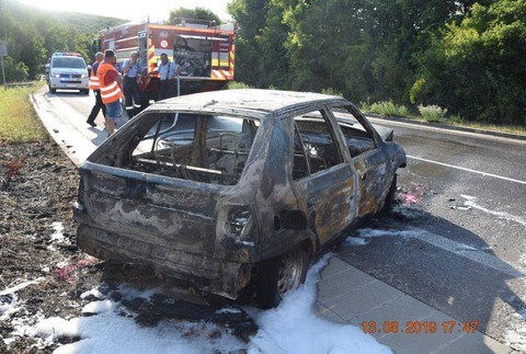 Nehodu spôsobila včela, ktorá vletela vodičke do auta 
