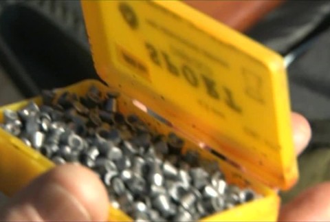 KN Strielal na psa384