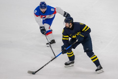 20261402_zoh_slovensko_svedsko_10193769