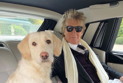 Sir Rod Stewart