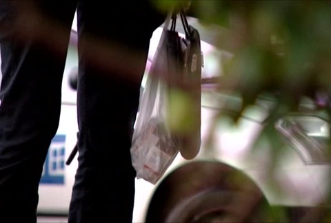 [multi] Dobitý Piťovcami 731