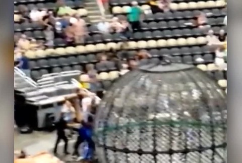 Kopala, hádzala sebou a zranila šesť detí. Počas predstavenia sa splašila ťava