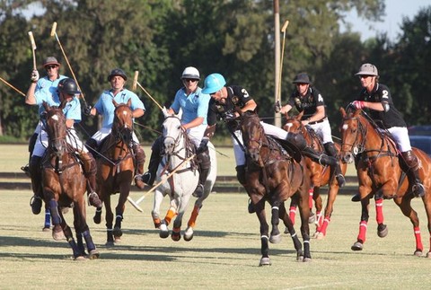 konske polo, J&T v Argentine na ihrisku