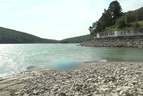 [multi] 082724WVP 363