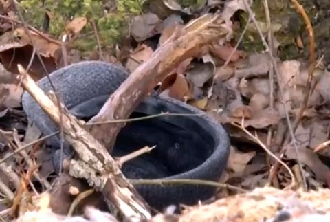 Polícia hľadala dôchodcu niekoľko dní. Najhoršie predstavy sa naplnili