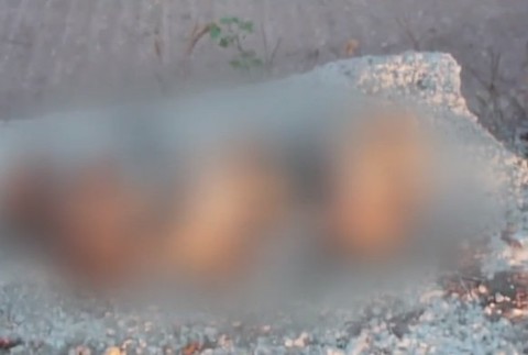  Prípad šteniatok, ktoré hodili do žumpy dvaja mestskí policajti z Holíča