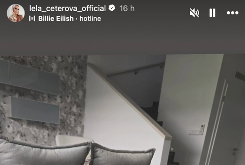 Nový dom Lely Ceterovej