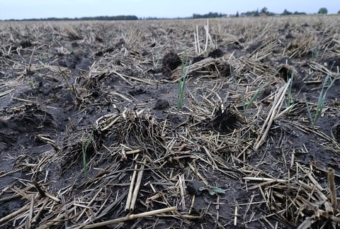 307747854_1520670865053770_5584241262117394757_n