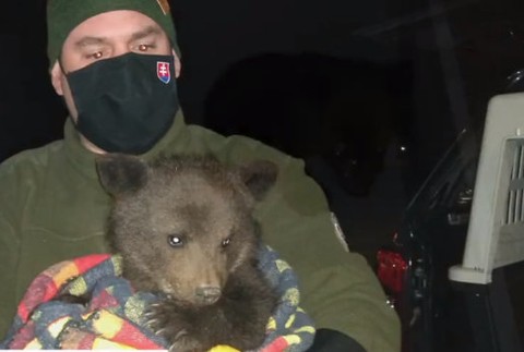 Záchrana medvedíka