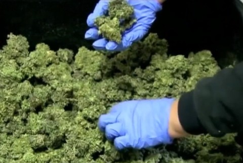 Ministerstvo nakupuje testery, ktoré odhalia, či vodič užil drogy. Ako to bude v praxi vyzerať?