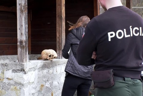 Lebky na zastávke mal na svedomí len 16-ročný mladík. Za hanobenie mŕtveho mu hrozí trest2803