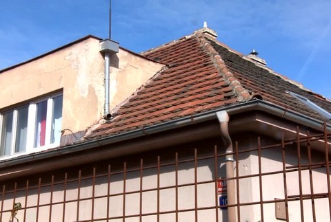 Mamba sa nenašla ani vo štvrtok, antisérum pomohlo373