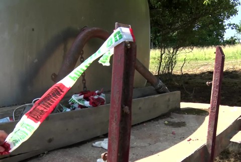 [multi] Uhynuté kravy 6825