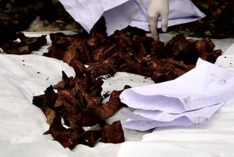 [multi] Nájdené kosti 7333