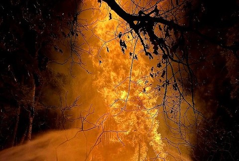 Požiar chaty v lokalite Tomky 2