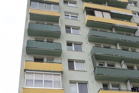 Muž z Trnavy pod vplyvom alkoholu vyhodil mačku z 8. poschodia. Hrozí mu väzenie