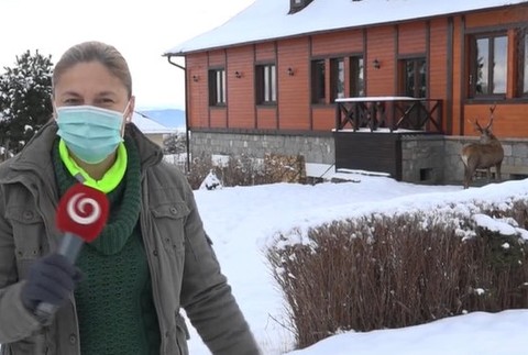 Petra napadol jeleň len pár metrov od rodinného domu.