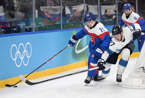 Zápas Slovensko - Fínsko