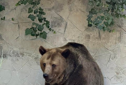 724362400_27155797137453086_244027232552605250_n