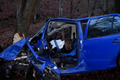 Vodič prešiel do protismeru a narazil do stromu