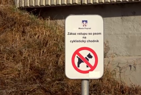 Psy viceprimátora Popradu mali roztrhať mladého srnca. Ten sa bráni