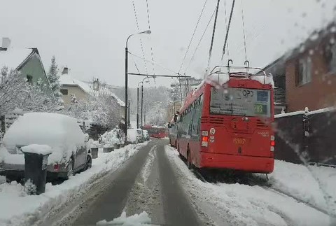 Trolejbus koliba1651