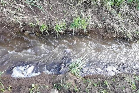 Ryby proti prúdu180