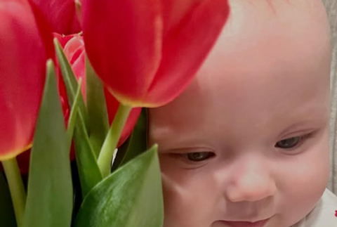 synček dusana ambrosa