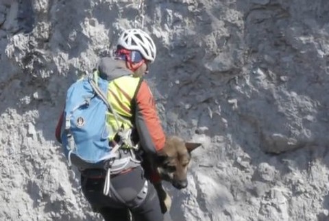 Záchranári, psy a technika v teréne