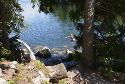 Screenshot 2024-08-10 180502