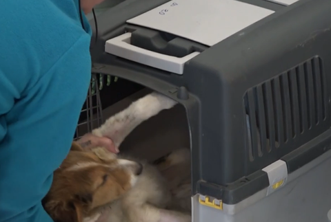 Snímka obrazovky 2024-10-03 173656