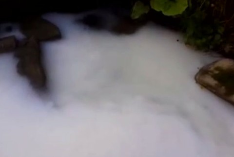 Voda v potoku sa premenila akoby na mlieko. Ohrozené zostali viaceré chránené živočíchy