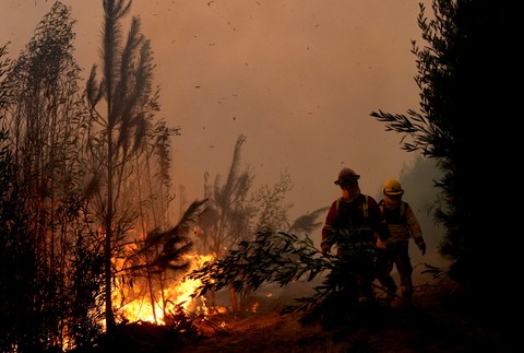 Chile_Wildfires_22175-6d14704233b146e1b0a99a8c10f7b213