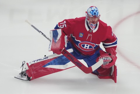 Hurricanes_Canadiens_Hockey378089