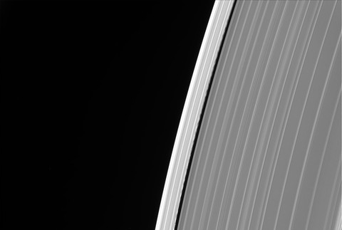 Daphnis
