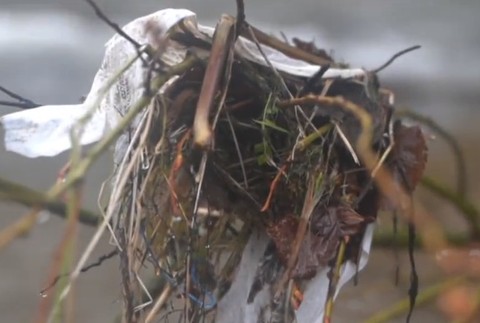Slovenský raj zamoril odpad. Ochranári chcú požiadať o pomoc armádu