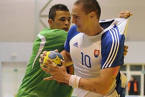 Slovensko-Alžírsko