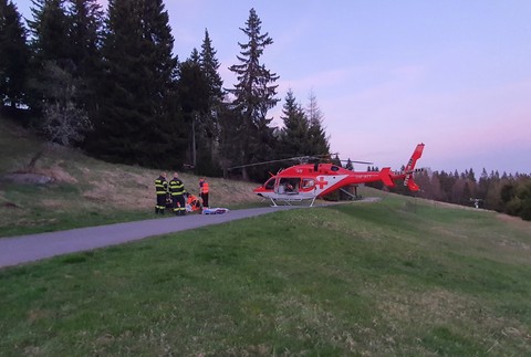 Medvedica napadla dvoch turistov. Jeden je v ťažkom stave, museli ho previezť vrtuľníkom