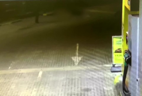 Pes zaútočil na policajta