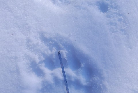 334318993_632236185577937_6598063177095808899_n