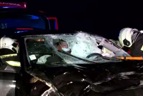 Vodič skončil v nemocnici po zrážke s jelenicou.